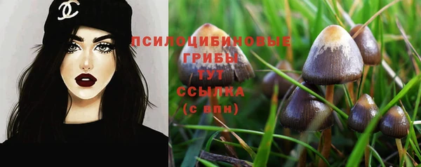 прущие грибы Абдулино