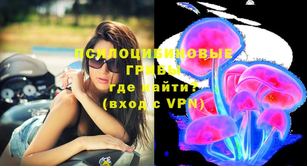 прущие грибы Абдулино