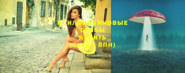 дмт Алексеевка