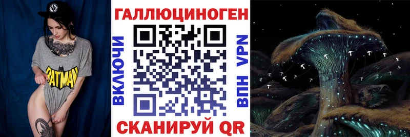 гидра ССЫЛКА  Камень-на-Оби  Галлюциногенные грибы мухоморы 