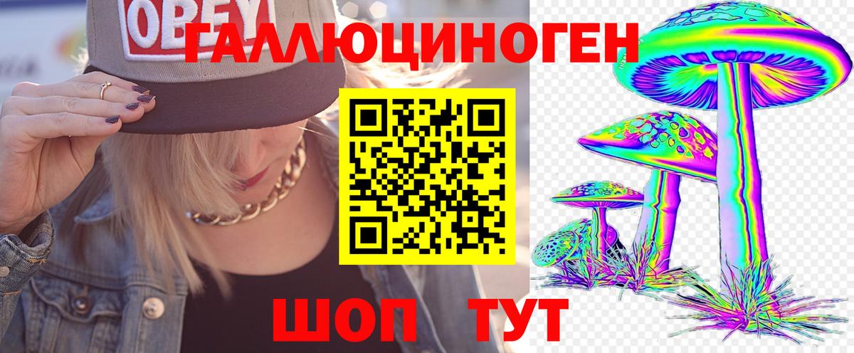Камень-на-Оби  Псилоцибиновые грибы ЛСД  Вход с VPN 