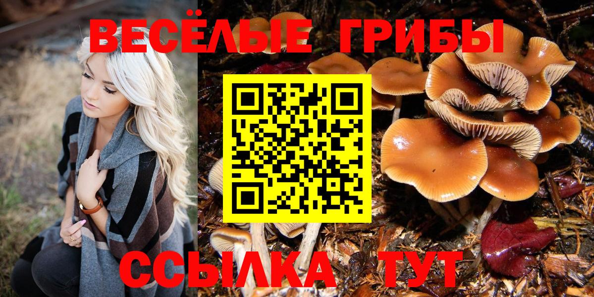 Галлюциногенные грибы мицелий Камень-на-Оби